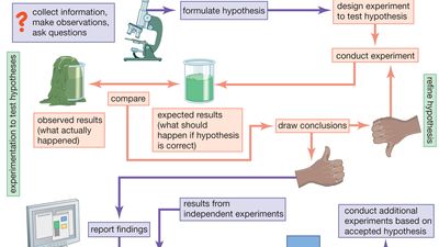 flow chart of scientific method